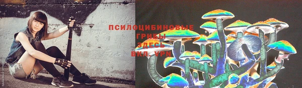 трава Верхний Тагил
