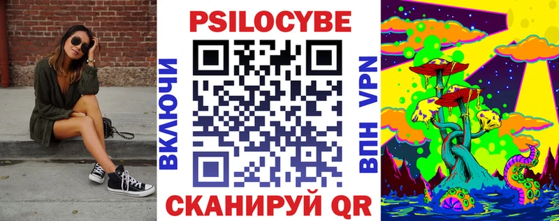 Псилоцибиновые грибы Psilocybe  где купить наркоту  Эртиль 