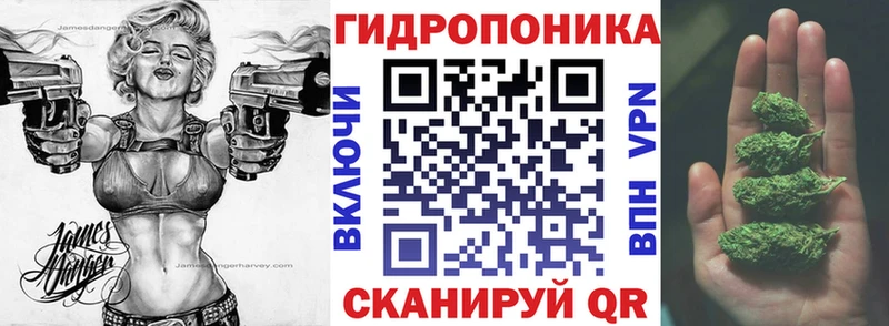 Шишки марихуана марихуана  Эртиль 